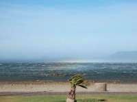 gale-force-in-gordons-bay