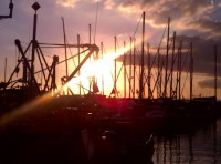 harbour-sunset