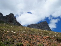 mountain-view 