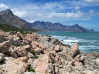 steenbras-river-mouth 